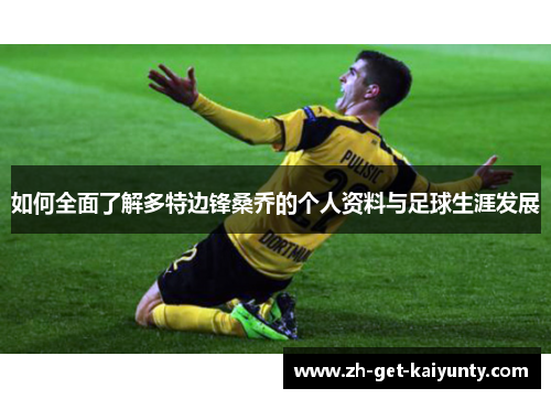 如何全面了解多特边锋桑乔的个人资料与足球生涯发展