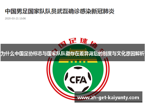 为什么中国足协标志与国家队队徽存在差异背后的制度与文化原因解析