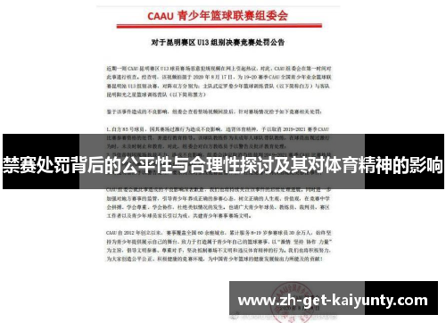 禁赛处罚背后的公平性与合理性探讨及其对体育精神的影响