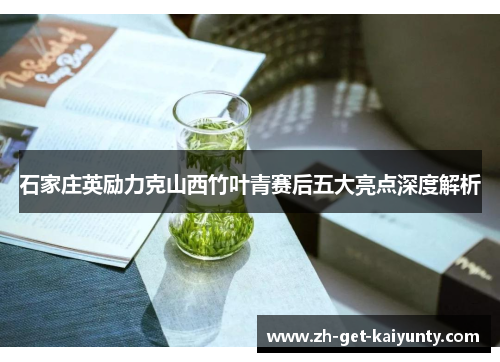 石家庄英励力克山西竹叶青赛后五大亮点深度解析