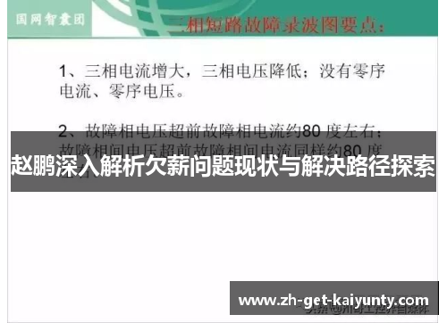 赵鹏深入解析欠薪问题现状与解决路径探索